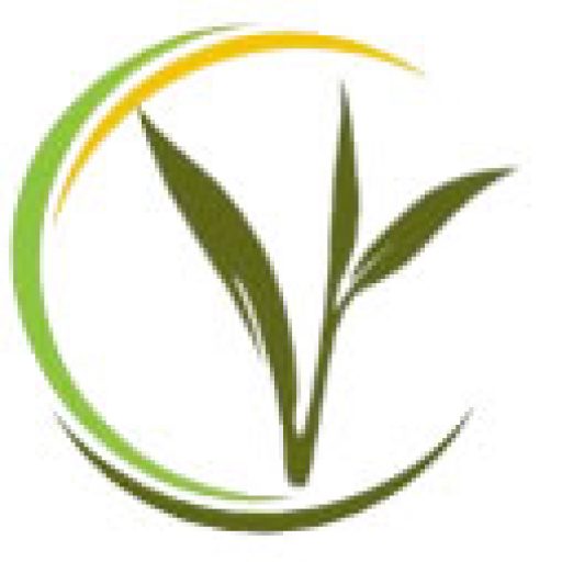 WeCreativez WhatsApp Support
